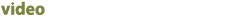 Foto Gallery