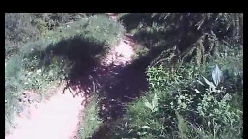 Dh freeride les 2 alpes 2012