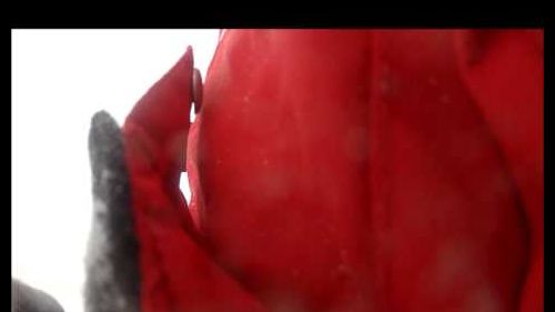 GoPro Hero 2 HD 1080p Spectacular Ski Fail (Cie la neva !!!)