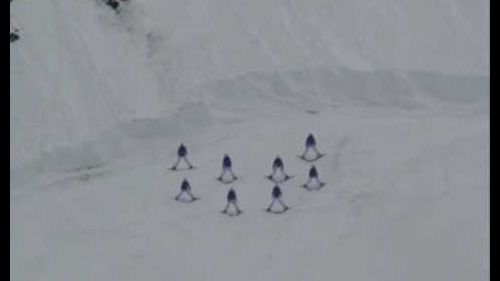 Swiss Snow Happening 2009 Grindelwald - Demoteam Adelboden - Kür