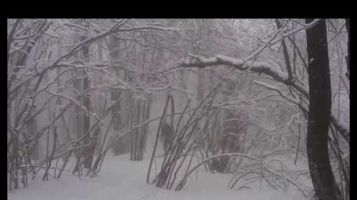 Polane freeride snowboarding [hd]