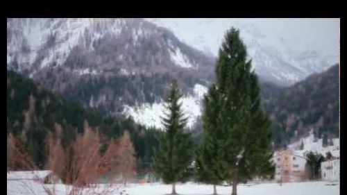 Hotel-Stella-Alpina-Falcade-Dolomiti