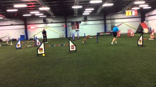 Biathlon jumpers 8/16/15