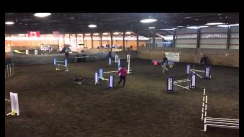 Les deux alpes skiing