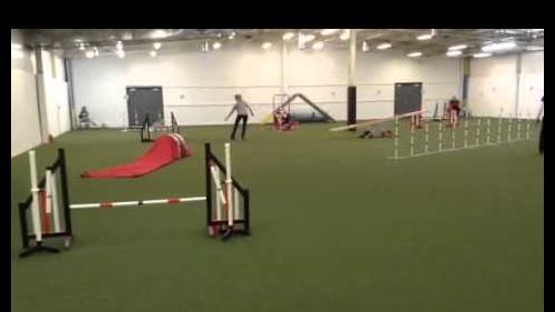 Swift - biathlon standard 1/2/2016