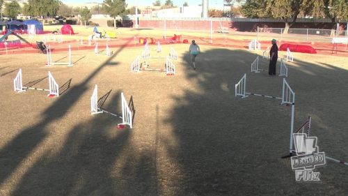 1-2-16 ginny biathlon jmpr - wild west regional