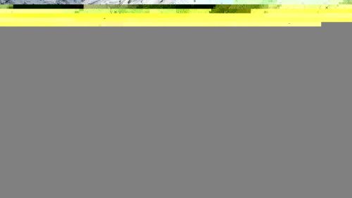 Skiing Madonna Di Campiglio, 73 Spinale diretta and 77 Fortini - red slopes