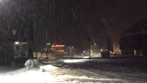 Neve - forte nevicata sull'appennino, abetone/val di luce - agipress