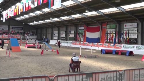 Ifcs biathlon agility running dogwalk threadle exit running dogwalk contacts