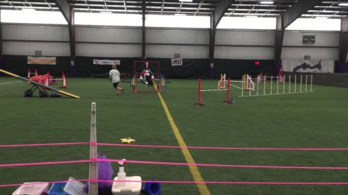 Idgie rm regional biathlon standard