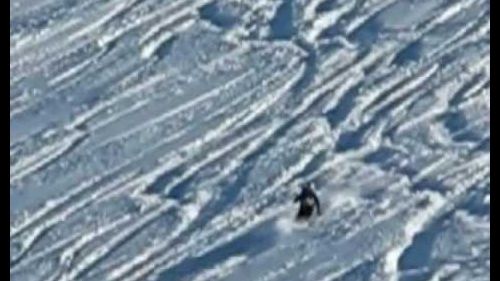 Les deux alpes 2010, part 1 of 2