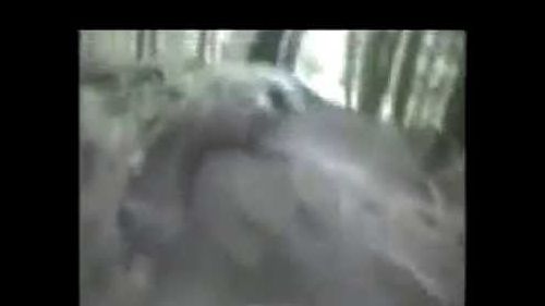 Downhill FreeRide in Wood Park