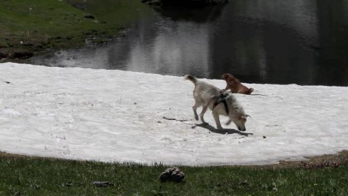 Ciaspole e sci alpinismo in Val Grisenche
