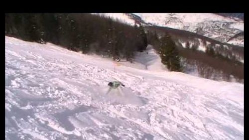 The paninar team 2011 -- turn off your brain!