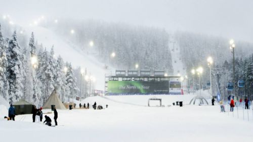 Alla scoperta della 'Levi Black' (con video e grafico). Chi darà il nome alla Renna?