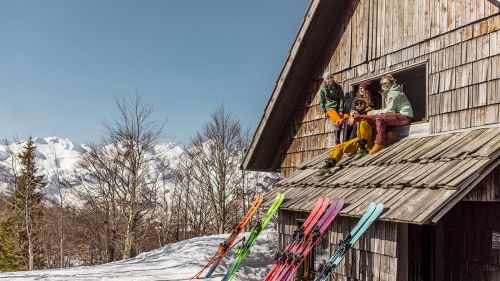 Elan Brand vogel elan vogel0706 1