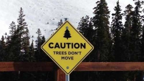 caution tree dont move