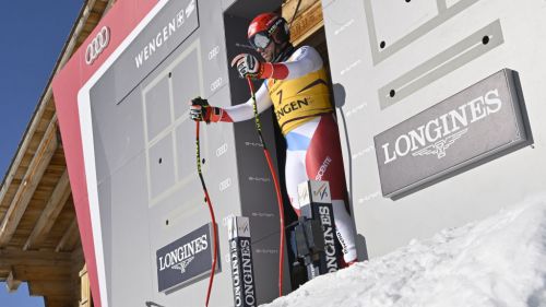 goggia.. brigno e petra