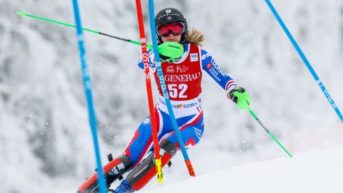 Völkl  Racetiger GS Michela Speranzoni 