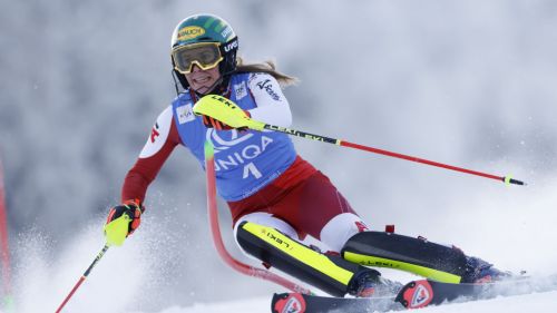 Ghiaccio Verde del 31 gennaio 2023