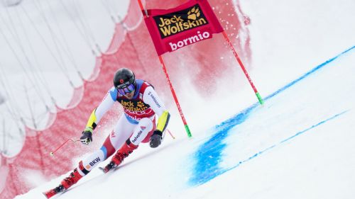 Serena Viviani alza bandiera bianca: forfait per Levi