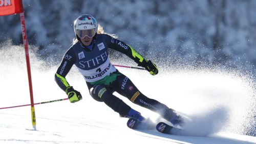 aaa. Occasione importante per le azz