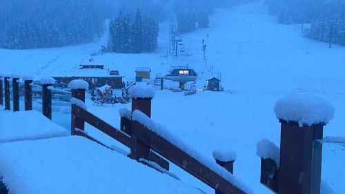 L'atleta dell'anno FISI? Federica Brignone vince il premio per la seconda volta in carriera