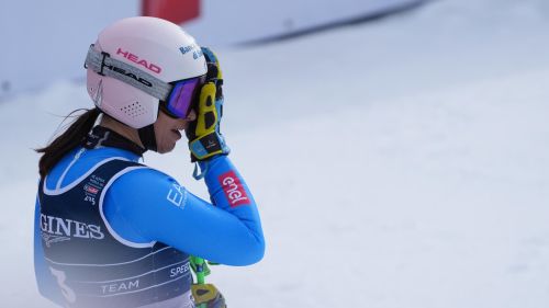 aaa, 8^ Delago e Rossetti