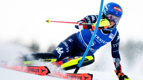 aaa, 8^ Delago e Rossetti