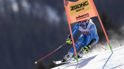 aaa, 8^ Delago e Rossetti