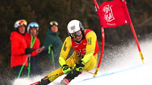 ocio foto e cita seppi